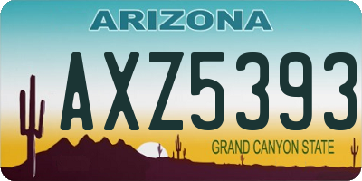 AZ license plate AXZ5393