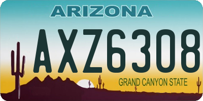 AZ license plate AXZ6308