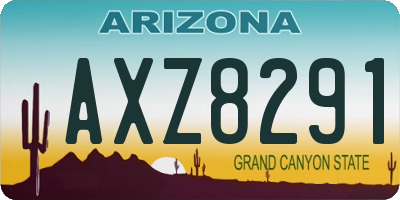 AZ license plate AXZ8291