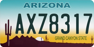 AZ license plate AXZ8317