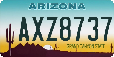 AZ license plate AXZ8737