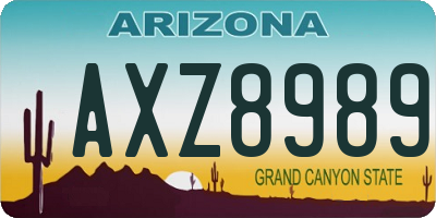 AZ license plate AXZ8989