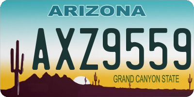 AZ license plate AXZ9559