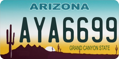 AZ license plate AYA6699