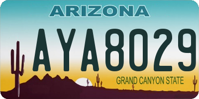 AZ license plate AYA8029