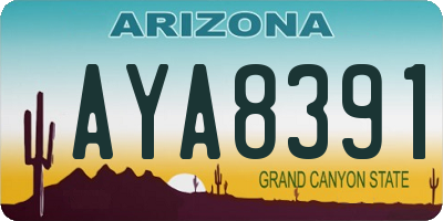 AZ license plate AYA8391