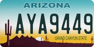 AZ license plate AYA9449