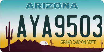 AZ license plate AYA9503