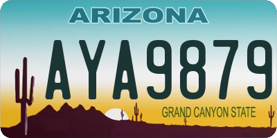 AZ license plate AYA9879