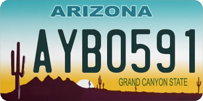 AZ license plate AYB0591