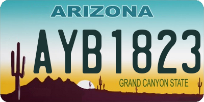 AZ license plate AYB1823