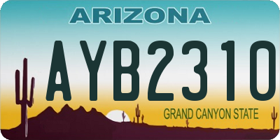 AZ license plate AYB2310