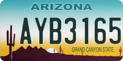 AZ license plate AYB3165