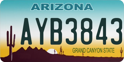 AZ license plate AYB3843