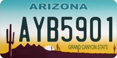 AZ license plate AYB5901