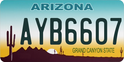 AZ license plate AYB6607