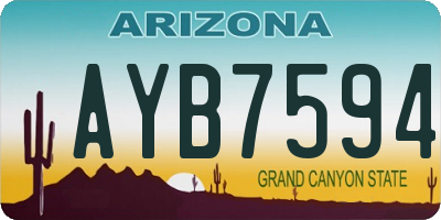 AZ license plate AYB7594