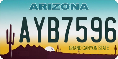 AZ license plate AYB7596