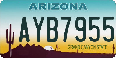 AZ license plate AYB7955