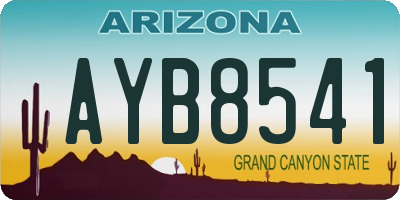 AZ license plate AYB8541