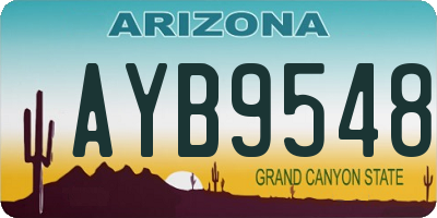 AZ license plate AYB9548