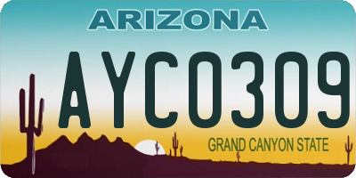 AZ license plate AYC0309