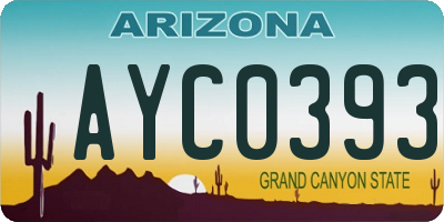 AZ license plate AYC0393