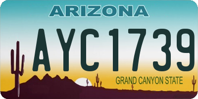 AZ license plate AYC1739