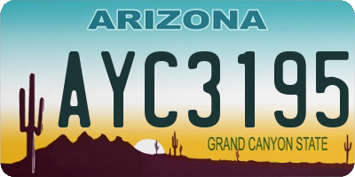 AZ license plate AYC3195