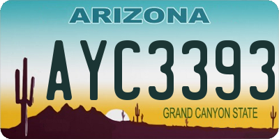 AZ license plate AYC3393