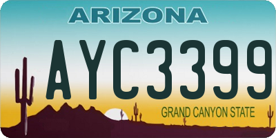 AZ license plate AYC3399