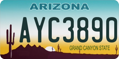 AZ license plate AYC3890