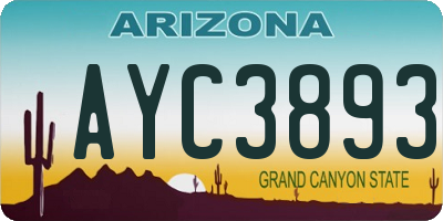 AZ license plate AYC3893