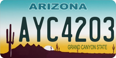 AZ license plate AYC4203