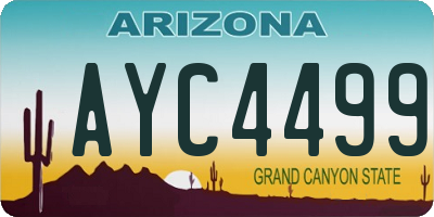 AZ license plate AYC4499