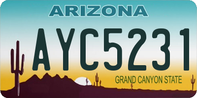 AZ license plate AYC5231