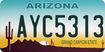 AZ license plate AYC5313