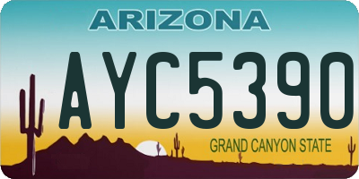 AZ license plate AYC5390