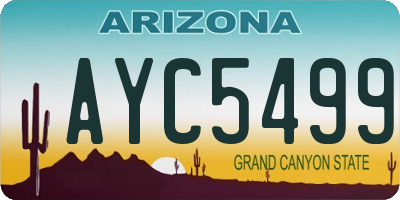 AZ license plate AYC5499
