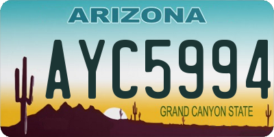 AZ license plate AYC5994