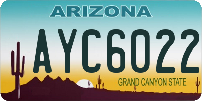 AZ license plate AYC6022