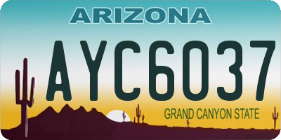 AZ license plate AYC6037