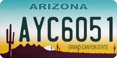 AZ license plate AYC6051