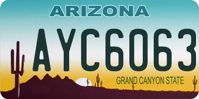 AZ license plate AYC6063