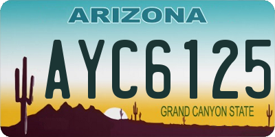 AZ license plate AYC6125