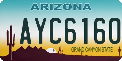 AZ license plate AYC6160
