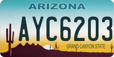 AZ license plate AYC6203