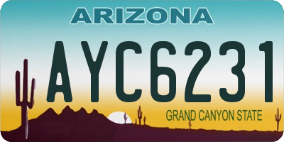 AZ license plate AYC6231