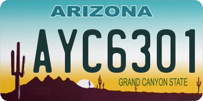 AZ license plate AYC6301