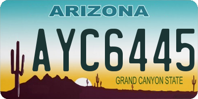 AZ license plate AYC6445
